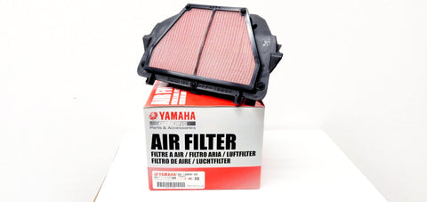 ELEMENT ASSY, AIR CLEANER